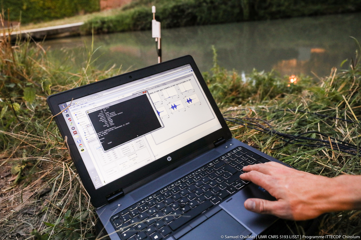 Conservation biology research